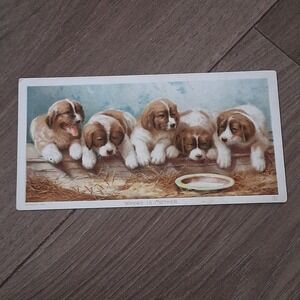 1892 Where is Mother Puppies Lithograph Trade Card Newsboy Plug Tobacco Ephemera